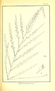 n518_w1150