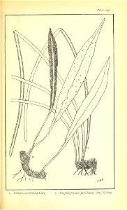 n696_w1150
