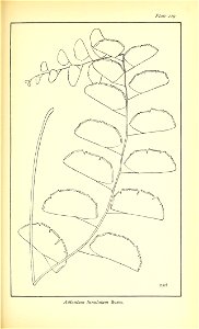 n636_w1150