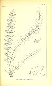 n576_w1150