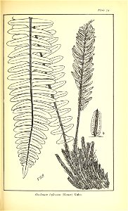 n546_w1150