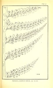 n516_w1150