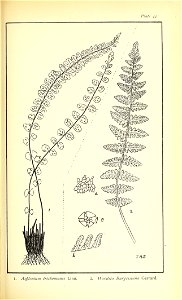 n486_w1150