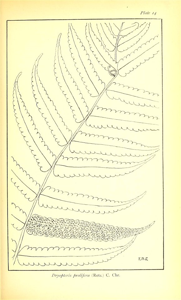 n426_w1150