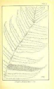 n426_w1150