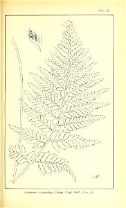 n574_w1150