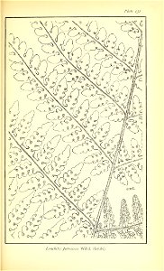 n662_w1150