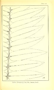n602_w1150