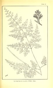 n572_w1150