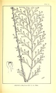n542_w1150