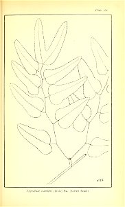 n720_w1150