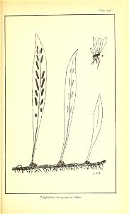 n690_w1150