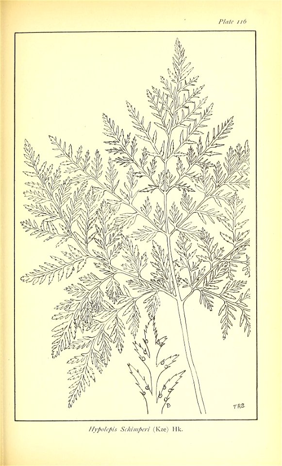 n630_w1150