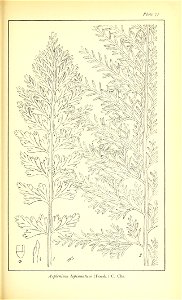 n540_w1150