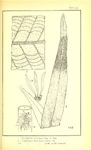 n688_w1150