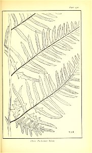 n658_w1150