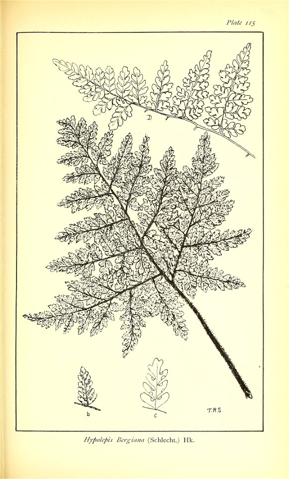 n628_w1150