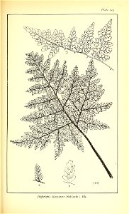 n628_w1150