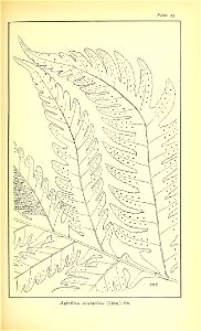n448_w1150