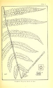 n418_w1150