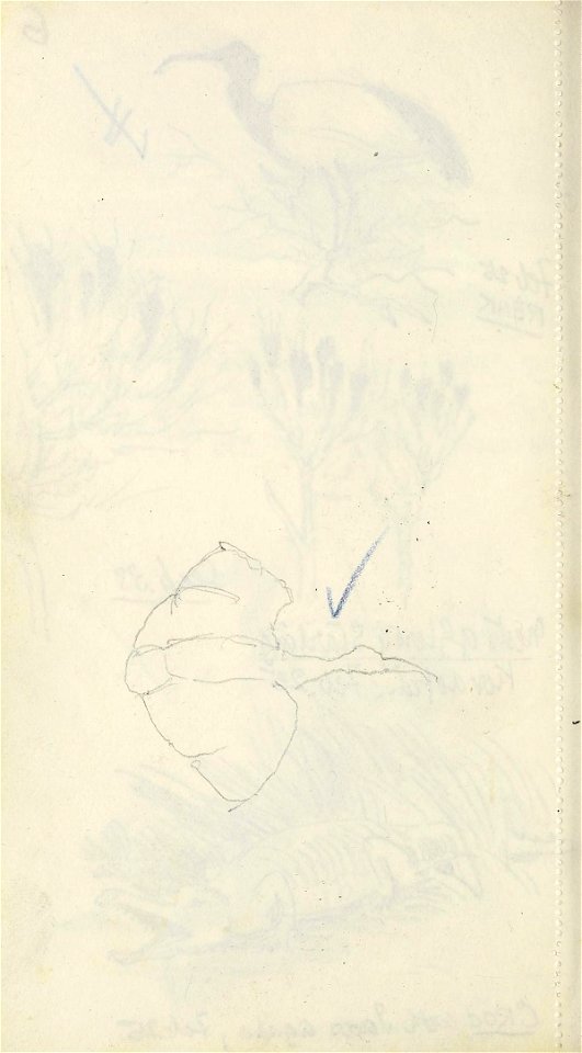 n15_w1150
