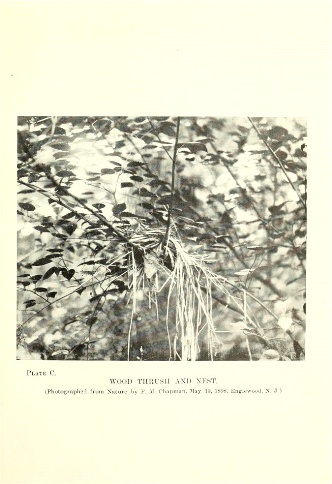 n206_w1150