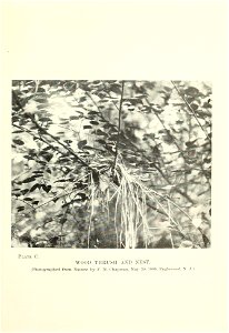 n206_w1150