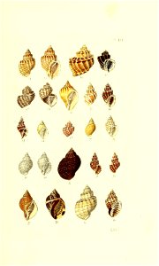 n16_w1150
