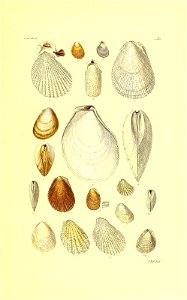 n50_w1150