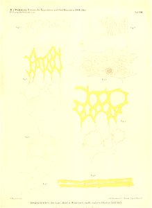 n390_w1150