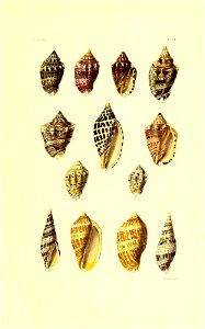 n108_w1150