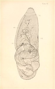 n192_w1150