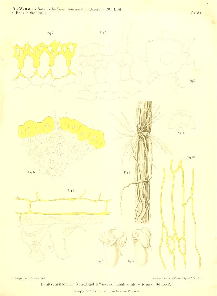 n386_w1150