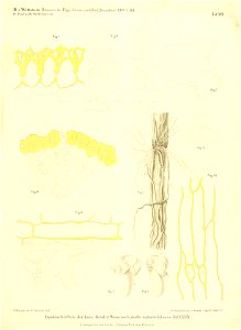 n386_w1150