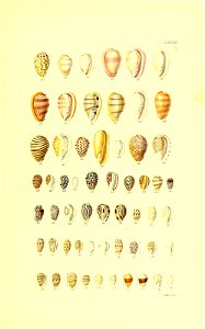 n166_w1150
