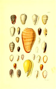 n164_w1150