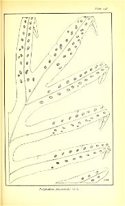 n674_w1150