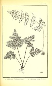 n614_w1150
