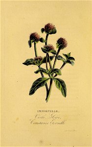 n159_w1150