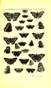 n266_w1150