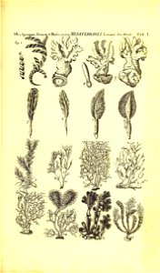 n196_w1150