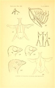 n473_w1150