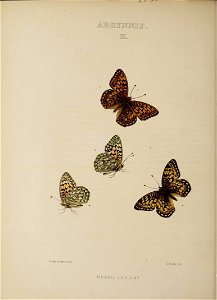 n191_w1150