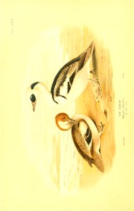 n395_w1150