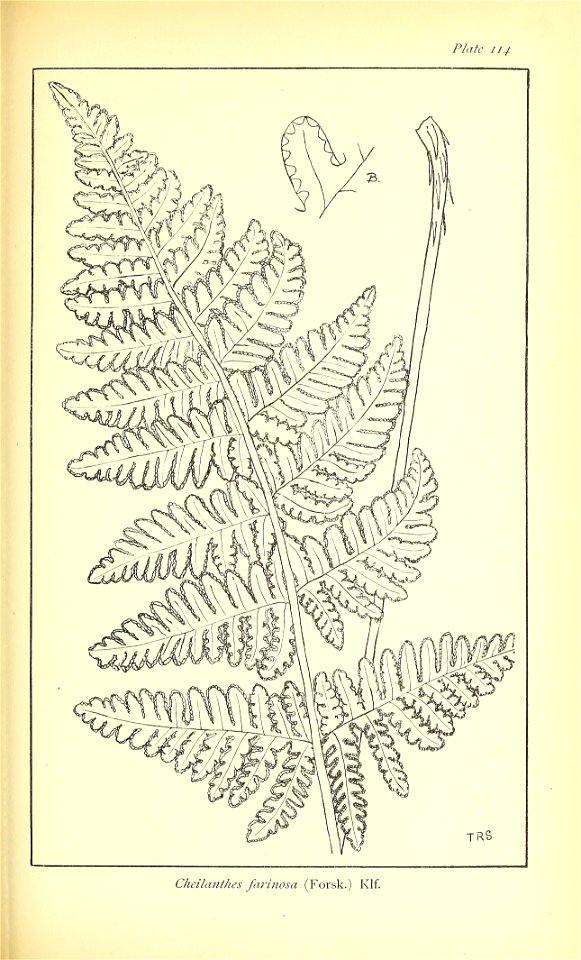 n626_w1150
