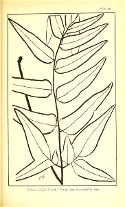 n596_w1150