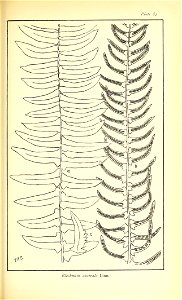 n566_w1150
