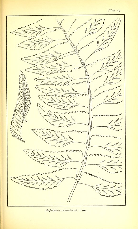 n506_w1150