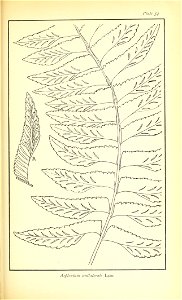 n506_w1150