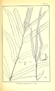 n476_w1150
